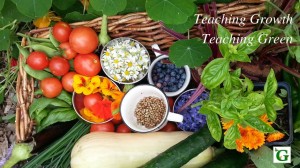 Teaching-GrowthTeaching-Green-jp-940x529